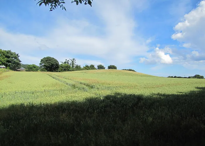 Bed & Breakfast Riverside 4*